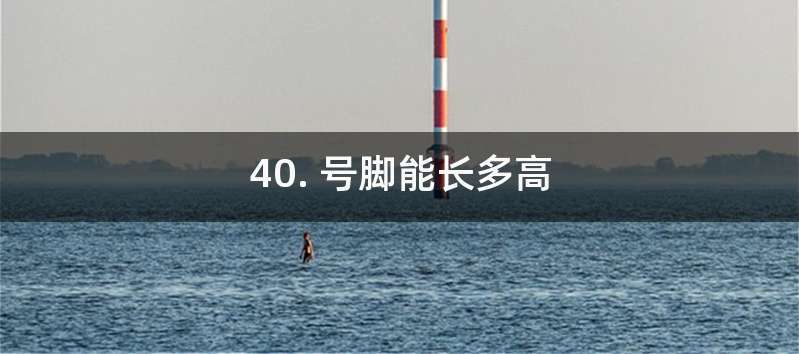 40. 号脚能长多高