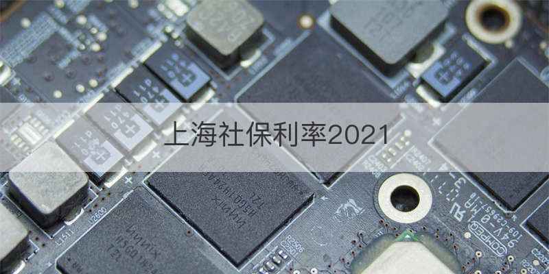 上海社保利率2021