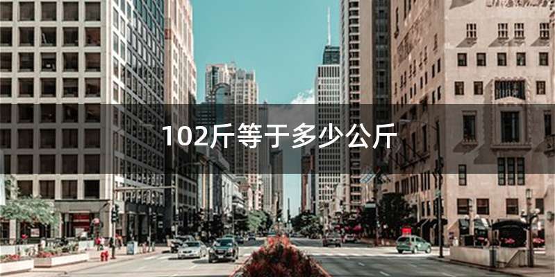 102斤等于多少公斤