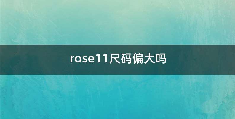 rose11尺码偏大吗