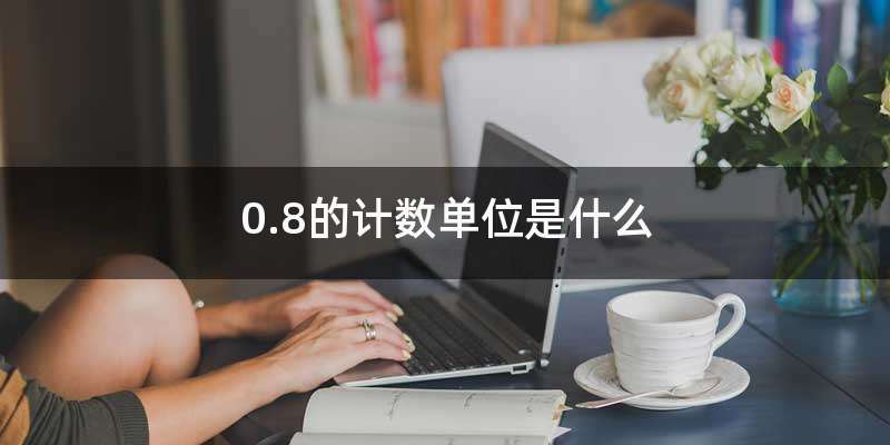 0.8的计数单位是什么