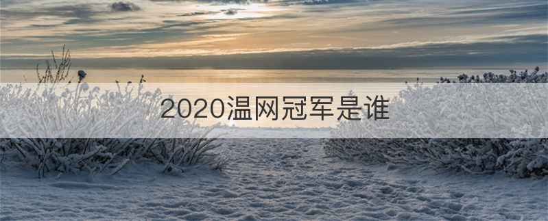 2020温网冠军是谁