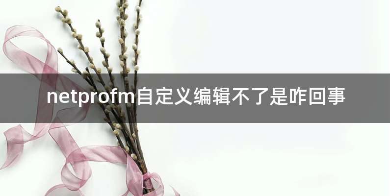 netprofm自定义编辑不了是咋回事