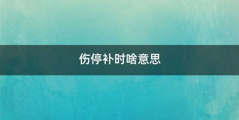 伤停补时啥意思