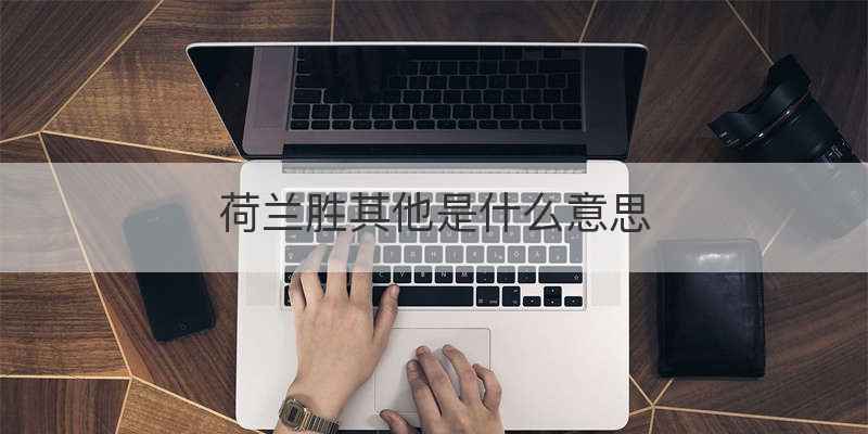 荷兰胜其他是什么意思