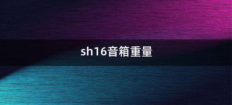 sh16音箱重量