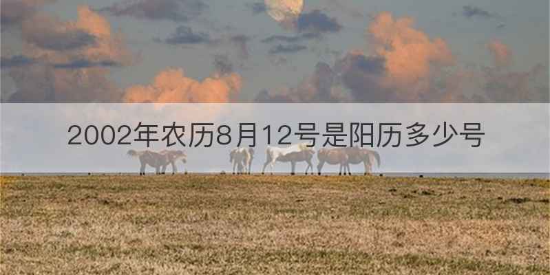 2002年农历8月12号是阳历多少号