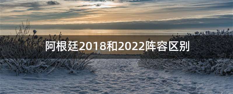 阿根廷2018和2022阵容区别