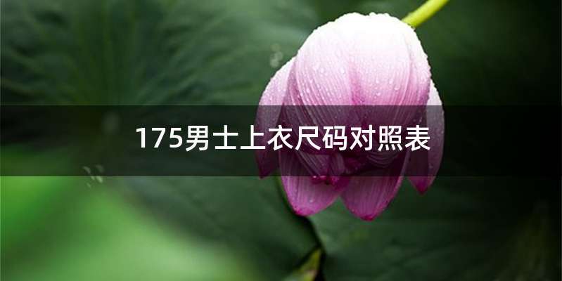 175男士上衣尺码对照表