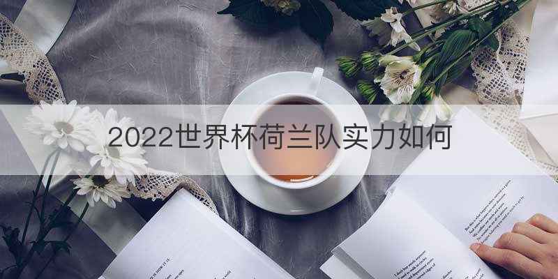 2022世界杯荷兰队实力如何