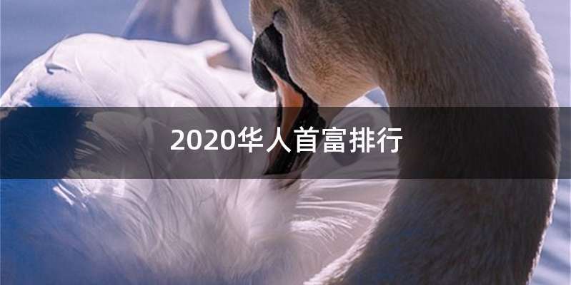 2020华人首富排行