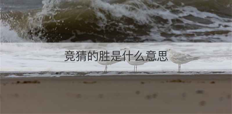 竞猜的胜是什么意思