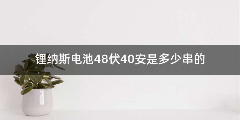 锂纳斯电池48伏40安是多少串的