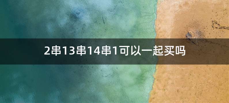 2串13串14串1可以一起买吗