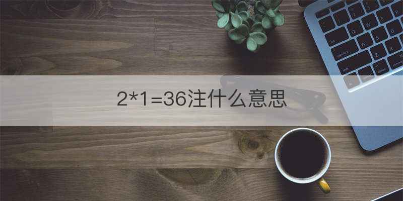 2*1=36注什么意思