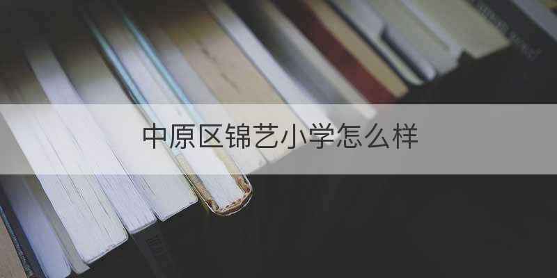 中原区锦艺小学怎么样