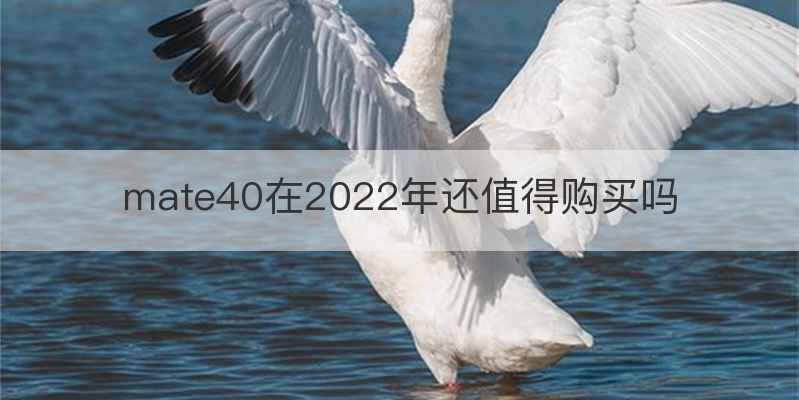 mate40在2022年还值得购买吗