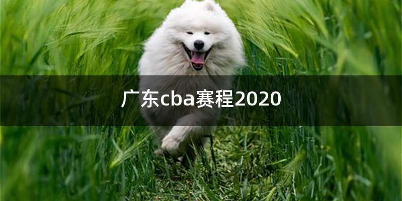 广东cba赛程2020