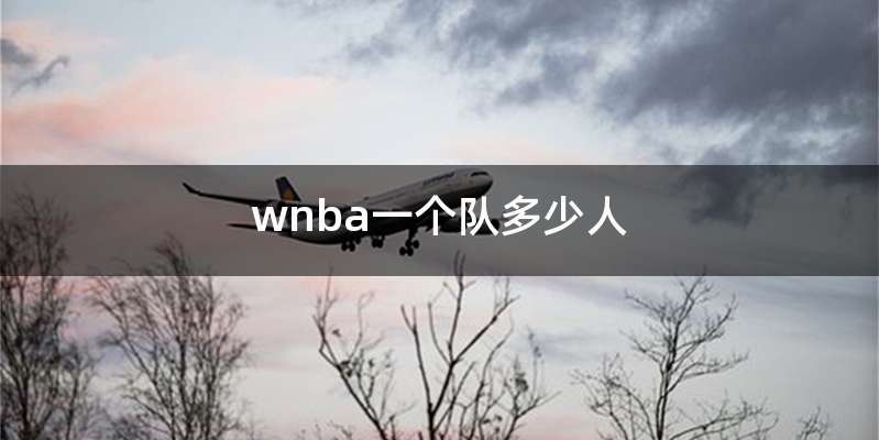 wnba一个队多少人
