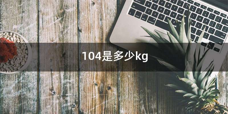 104是多少kg