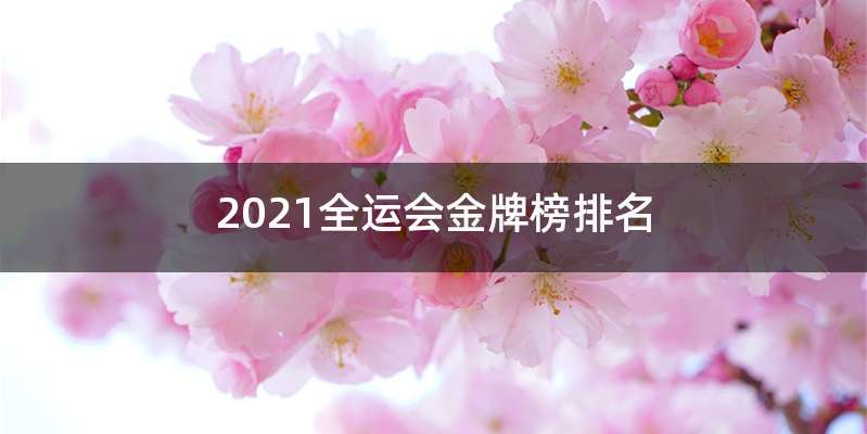 2021全运会金牌榜排名