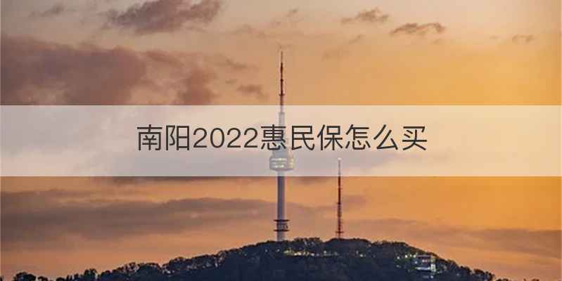 南阳2022惠民保怎么买