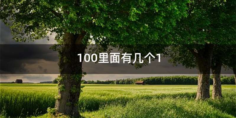 100里面有几个1