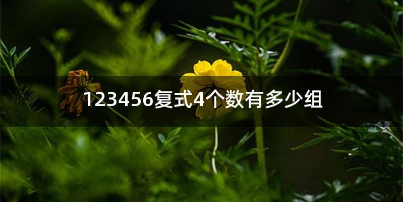 123456复式4个数有多少组