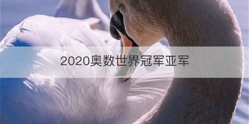 2020奥数世界冠军亚军