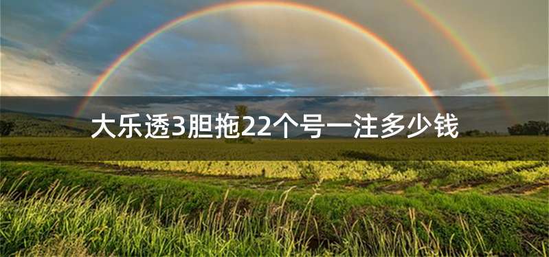 大乐透3胆拖22个号一注多少钱