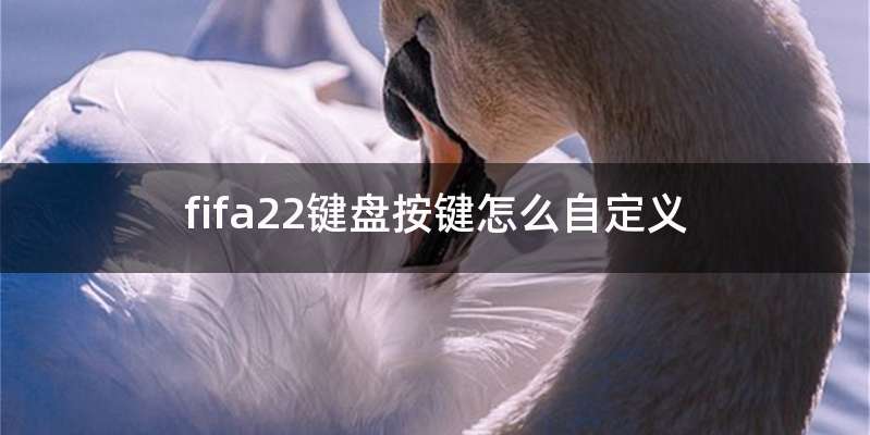 fifa22键盘按键怎么自定义