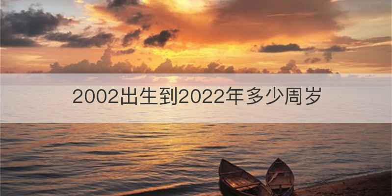 2002出生到2022年多少周岁