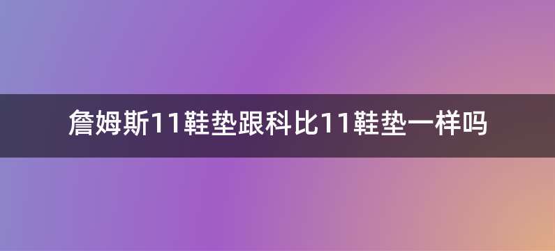 詹姆斯11鞋垫跟科比11鞋垫一样吗