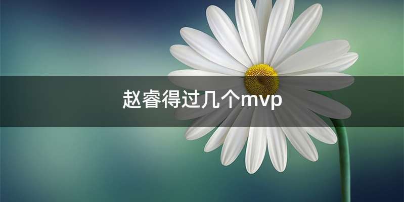 赵睿得过几个mvp