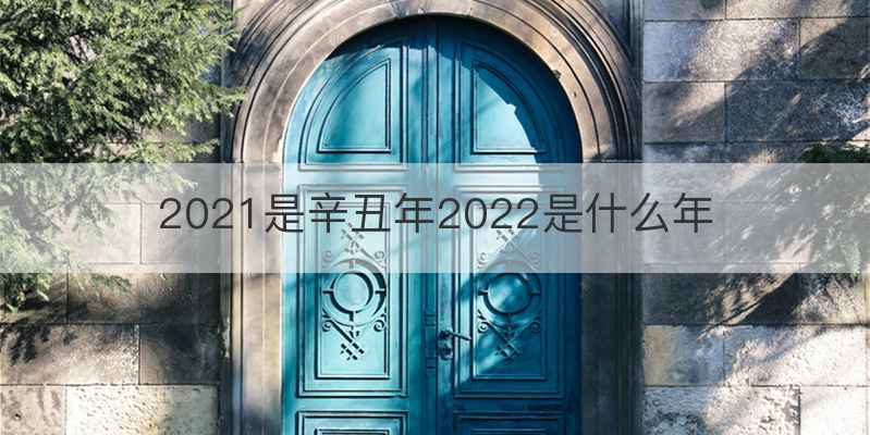 2021是辛丑年2022是什么年