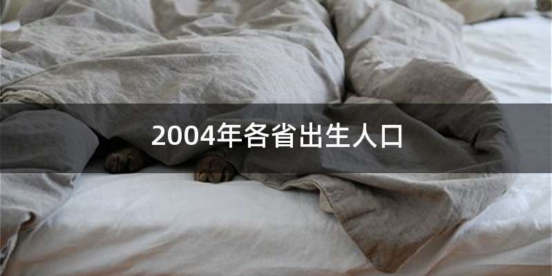 2004年各省出生人口