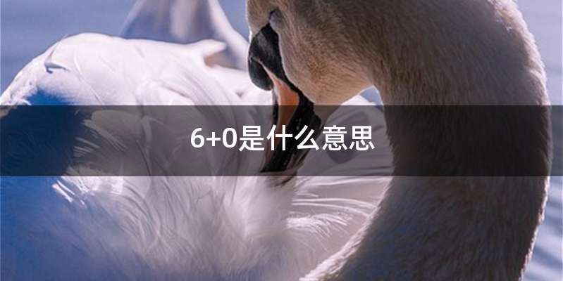 6+0是什么意思