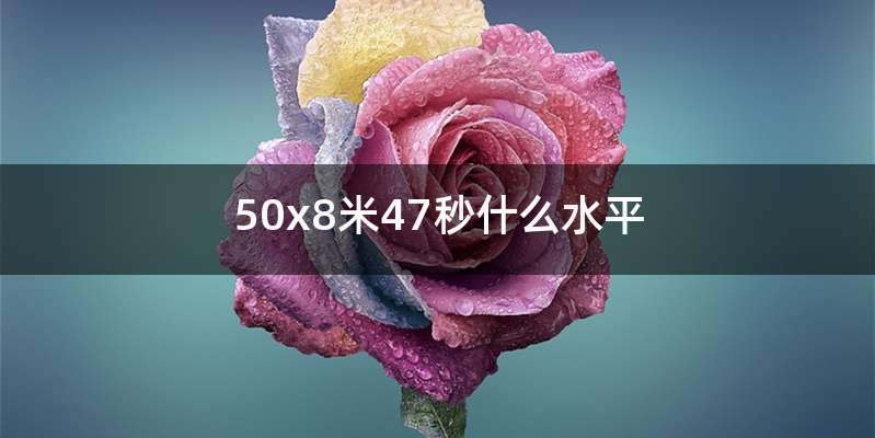 50x8米47秒什么水平