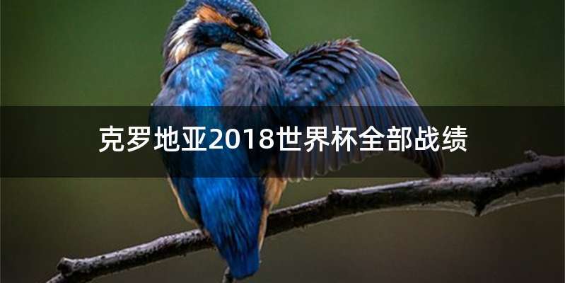 克罗地亚2018世界杯全部战绩