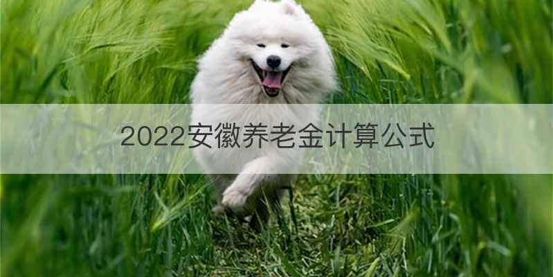 2022安徽养老金计算公式