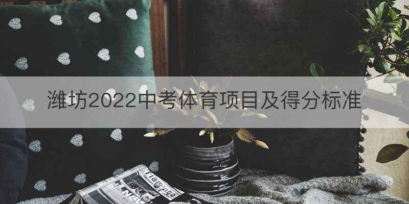 潍坊2022中考体育项目及得分标准
