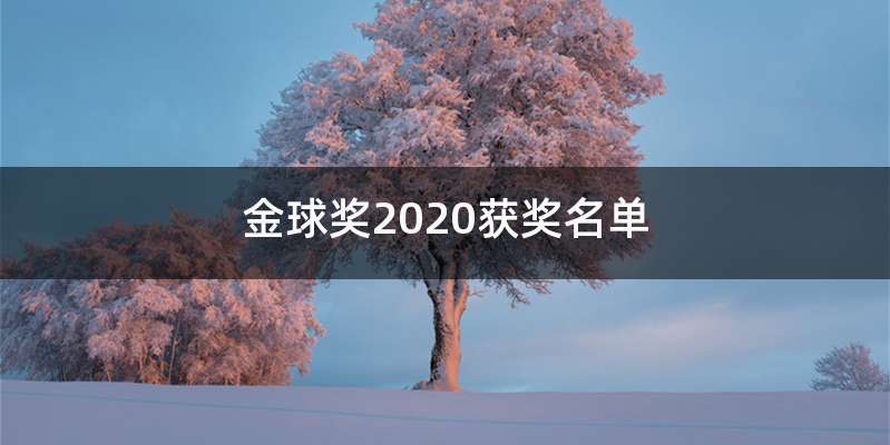 金球奖2020获奖名单