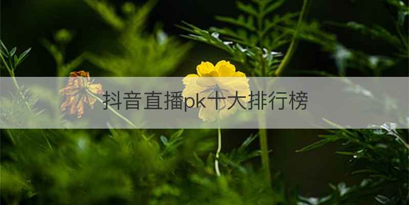 抖音直播pk十大排行榜