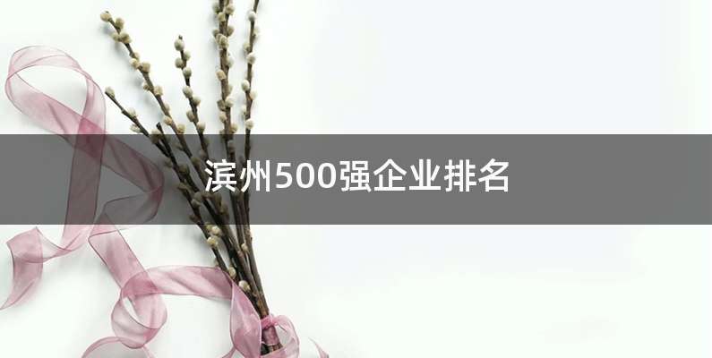 滨州500强企业排名