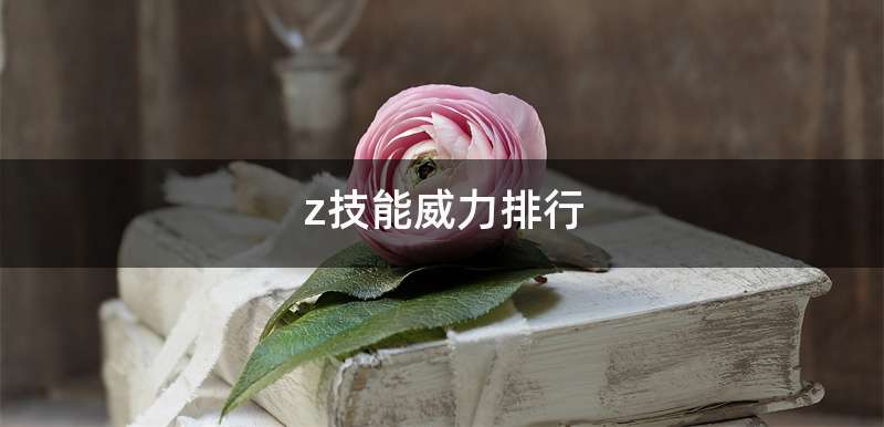 z技能威力排行