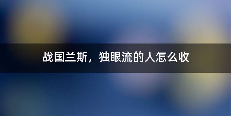 战国兰斯，独眼流的人怎么收