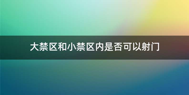 大禁区和小禁区内是否可以射门