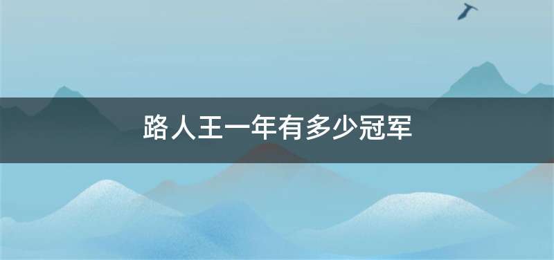 路人王一年有多少冠军