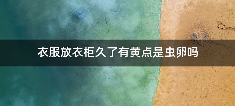 衣服放衣柜久了有黄点是虫卵吗