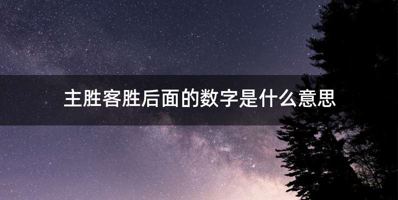 主胜客胜后面的数字是什么意思